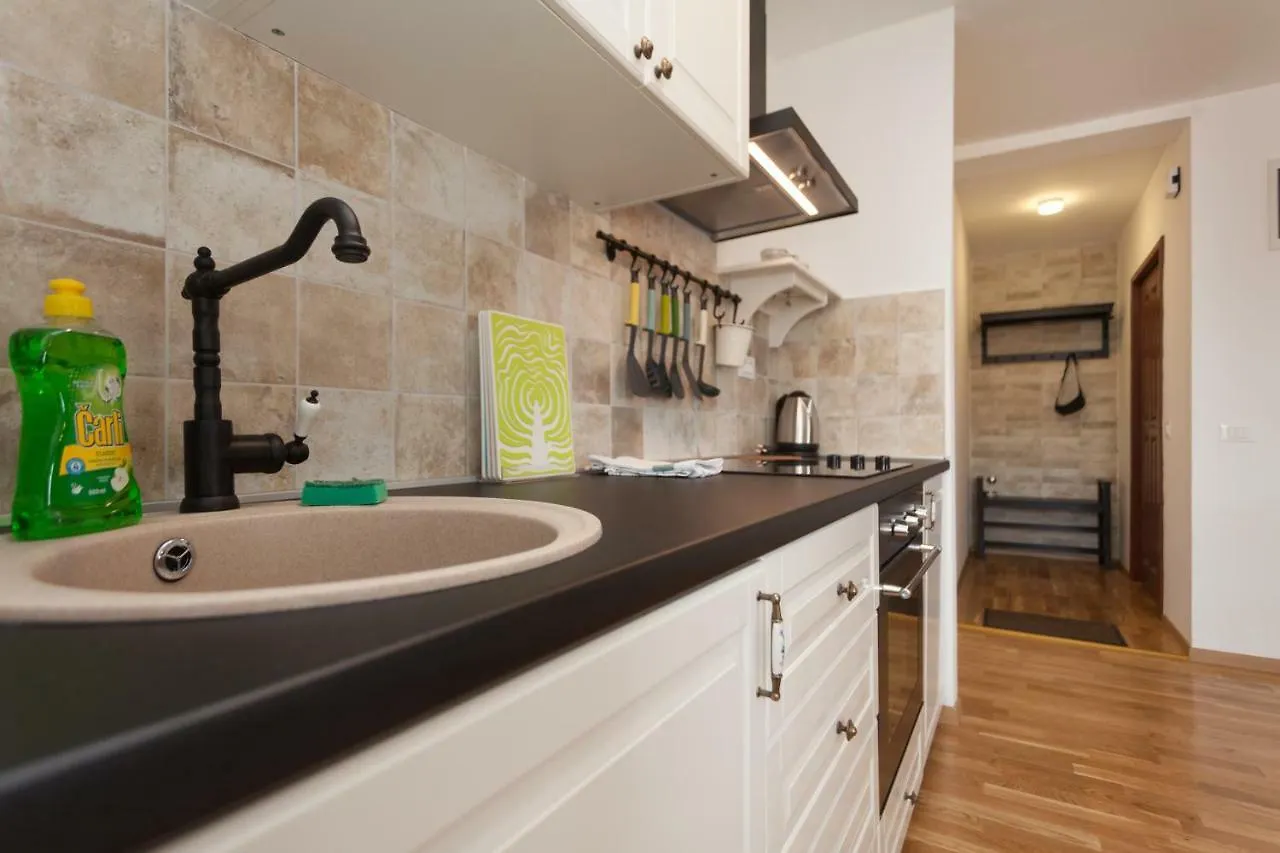Apartment Amare Seaview Rovigno Croazia